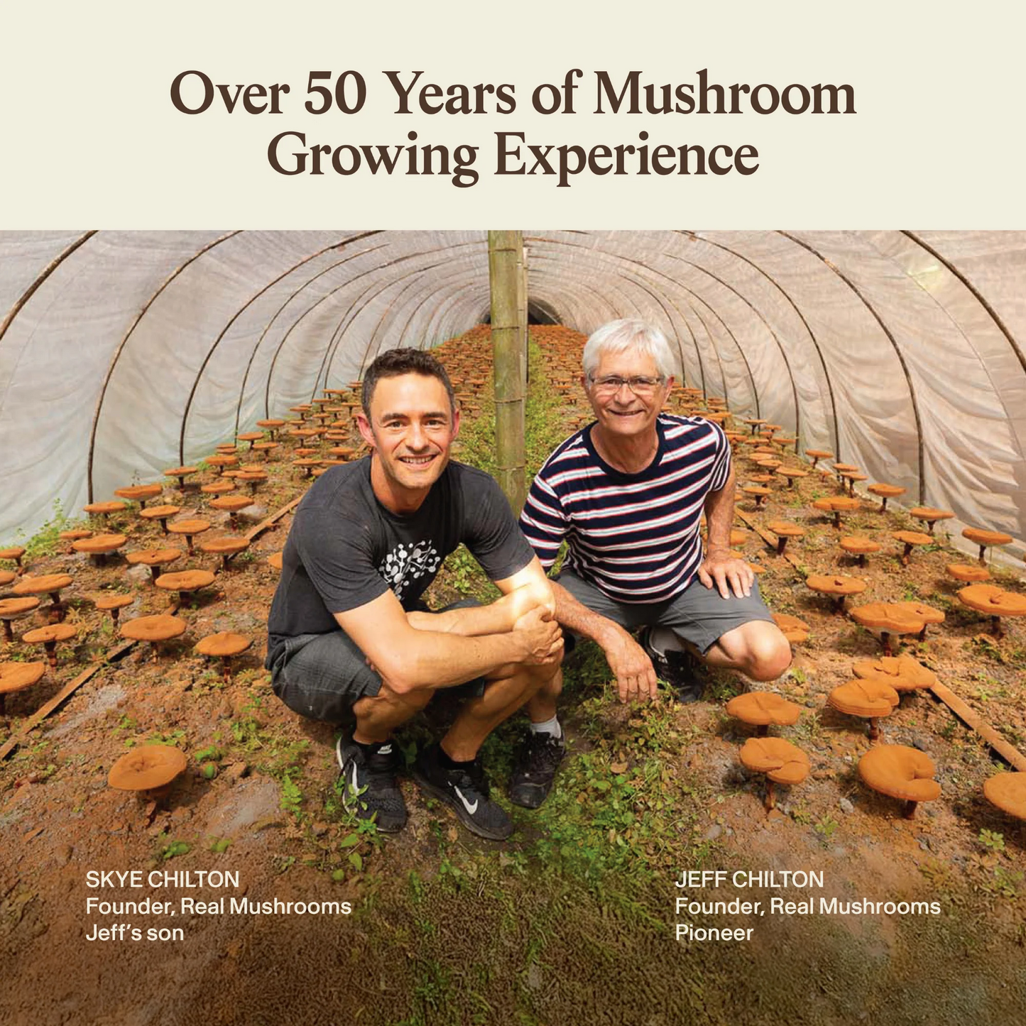 Organic Chaga Extract Capsules