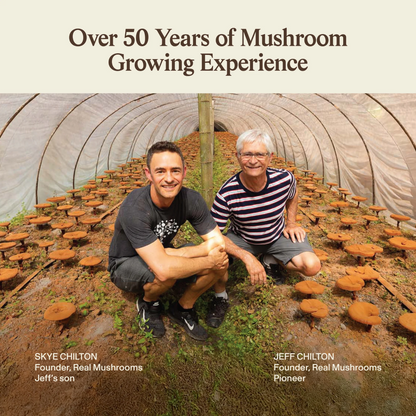 Organic Chaga Extract Capsules